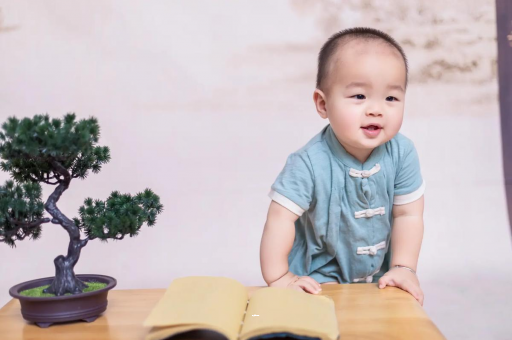 辽阳可爱的企鹅宝宝